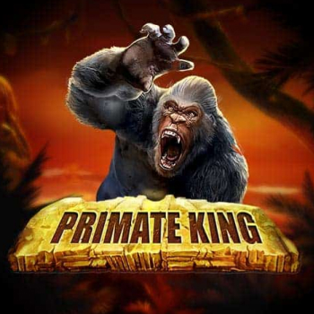 Primate King slot preview